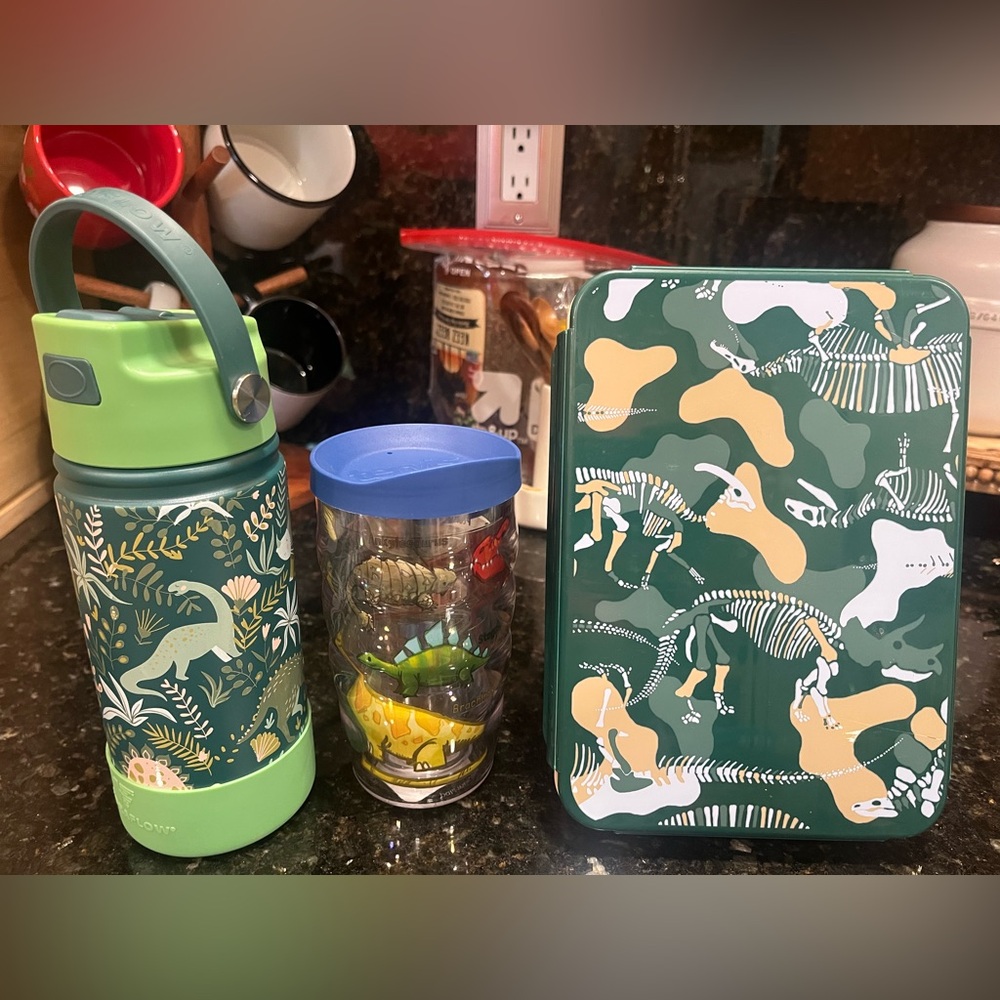 Dinosaur kids Lunch Box, sipper and Tervis